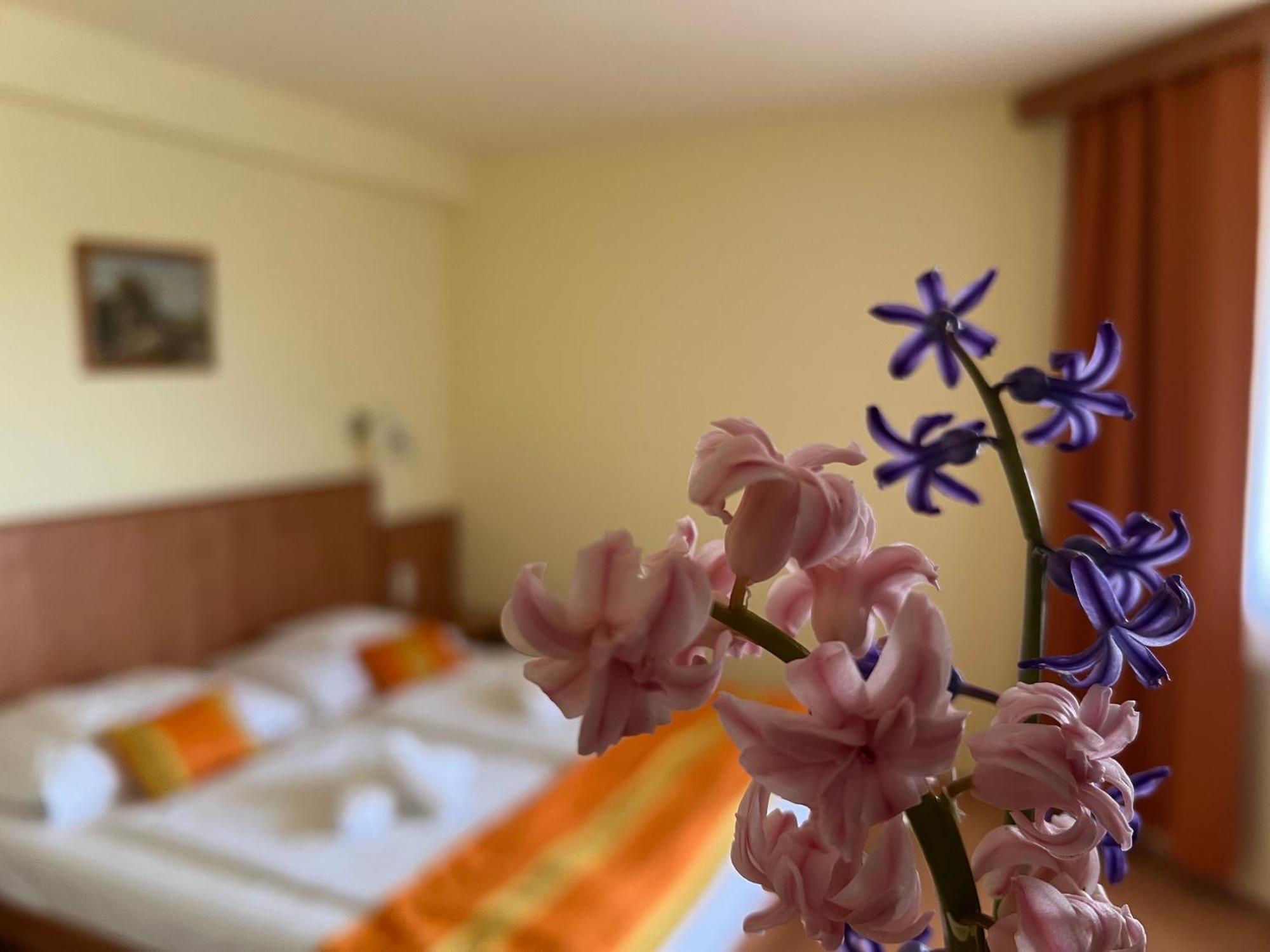 Aqua Therm Hotel Zalakaros Extérieur photo